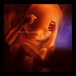 24 weeks