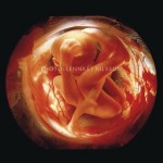 26 weeks