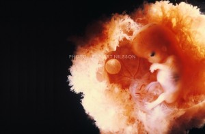 16 weeks