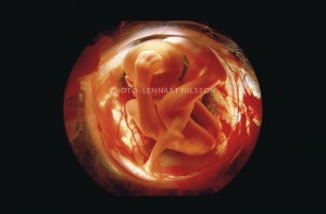 26 weeks